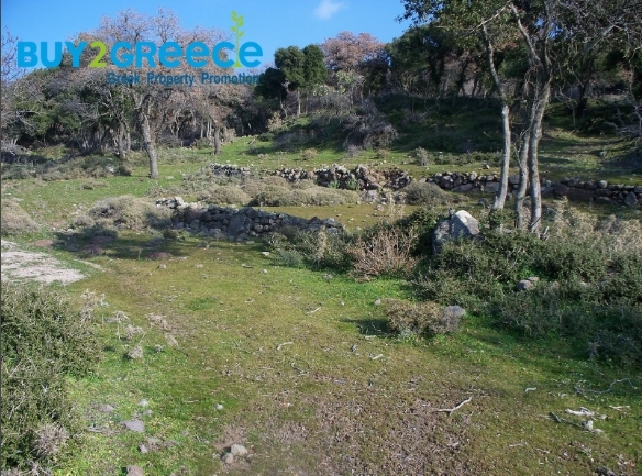 (For Sale) Land Large Land  || Lesvos/Mithymna - 20.200 Sq.m, 300.000€ ||| ID :1452427-7