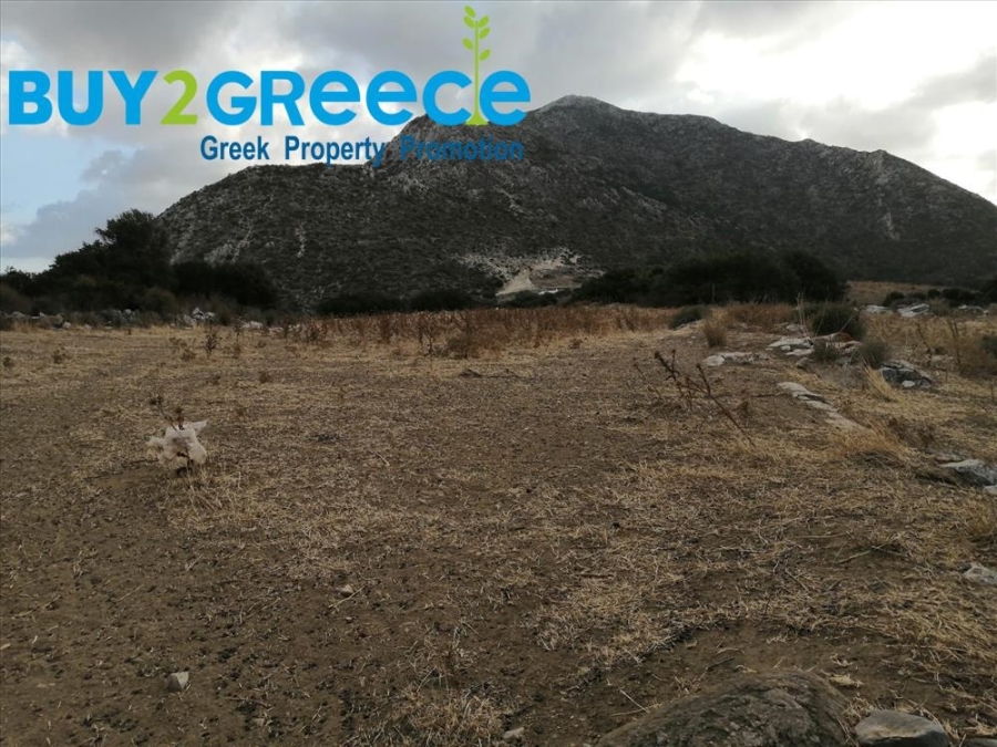 (For Sale) Land Agricultural Land  || Cyclades/Naxos-Drymalia - 15.000 Sq.m, 90.000€ ||| ID :1456710