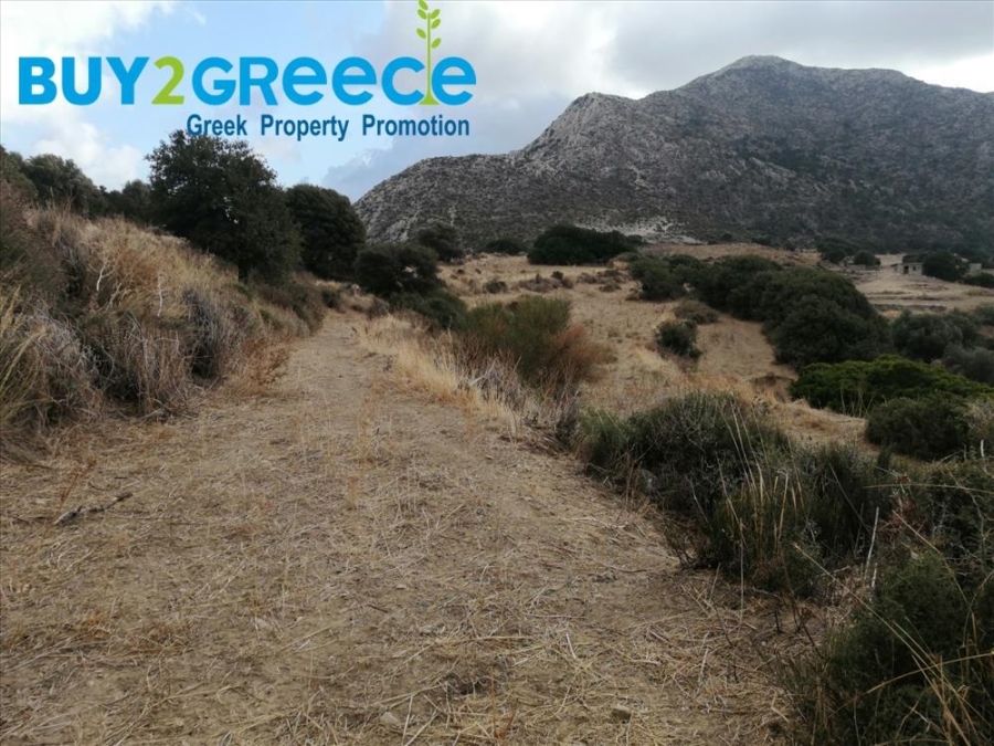 (For Sale) Land Agricultural Land  || Cyclades/Naxos-Drymalia - 15.000 Sq.m, 90.000€ ||| ID :1456710-2