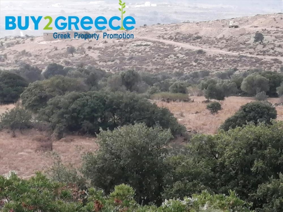 (For Sale) Land Agricultural Land  || Cyclades/Naxos-Drymalia - 15.000 Sq.m, 90.000€ ||| ID :1456710-3