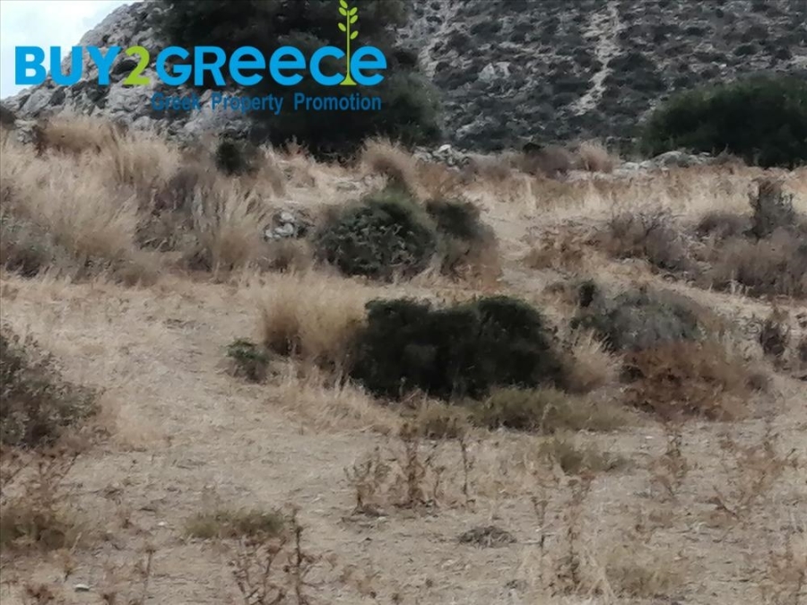 (For Sale) Land Agricultural Land  || Cyclades/Naxos-Drymalia - 15.000 Sq.m, 90.000€ ||| ID :1456710-4