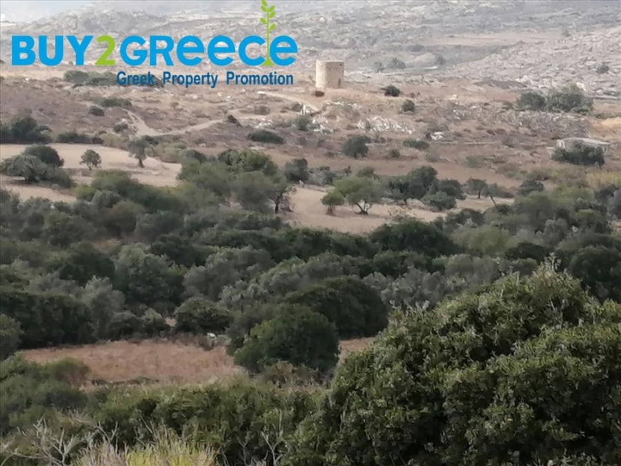 (For Sale) Land Agricultural Land  || Cyclades/Naxos-Drymalia - 15.000 Sq.m, 90.000€ ||| ID :1456710-5