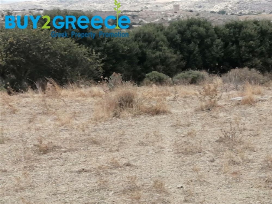 (For Sale) Land Agricultural Land  || Cyclades/Naxos-Drymalia - 15.000 Sq.m, 90.000€ ||| ID :1456710-6