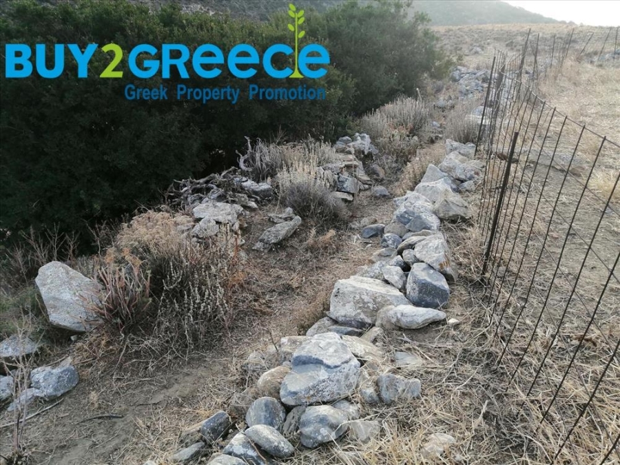 (For Sale) Land Agricultural Land  || Cyclades/Naxos-Drymalia - 15.000 Sq.m, 90.000€ ||| ID :1456710-7