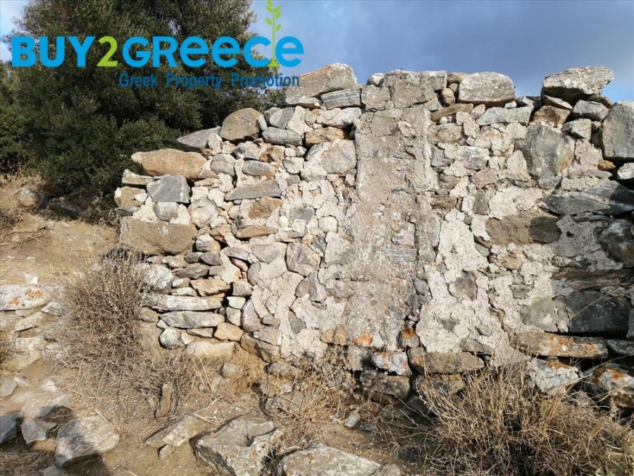 (For Sale) Land Agricultural Land  || Cyclades/Naxos-Drymalia - 15.000 Sq.m, 90.000€ ||| ID :1456710-8