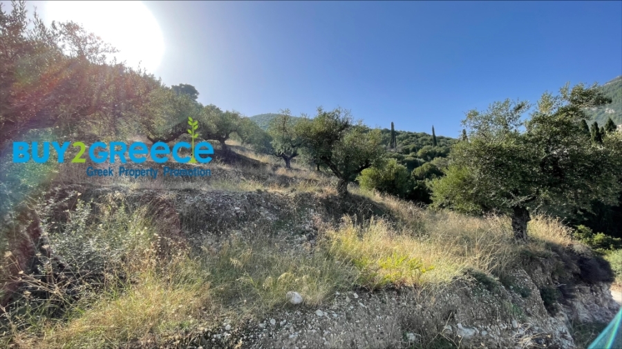 (For Sale) Land Agricultural Land  || Zakynthos (Zante)/Laganas - 4.044 Sq.m, 130.000€ ||| ID :1457632-10