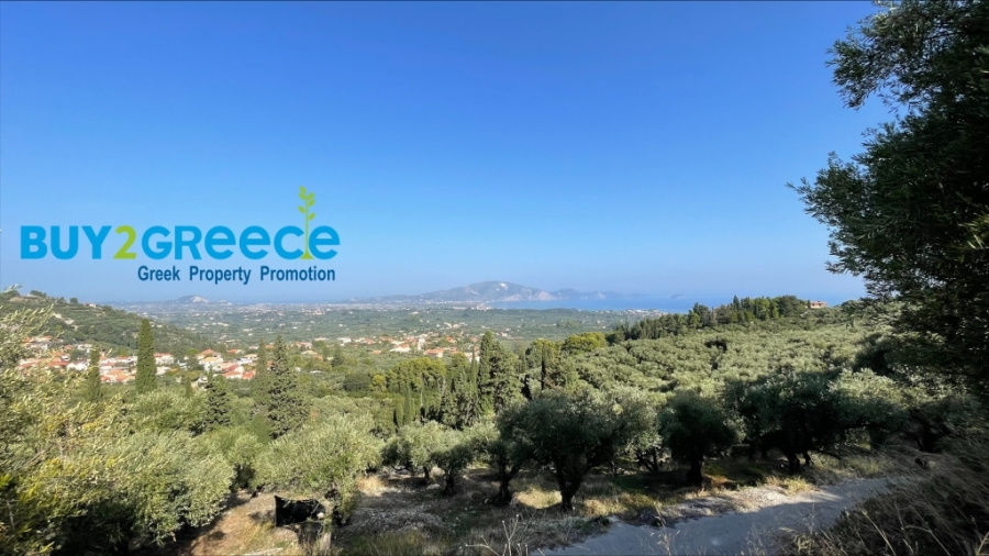 (For Sale) Land Agricultural Land  || Zakynthos (Zante)/Laganas - 4.044 Sq.m, 130.000€ ||| ID :1457632-5