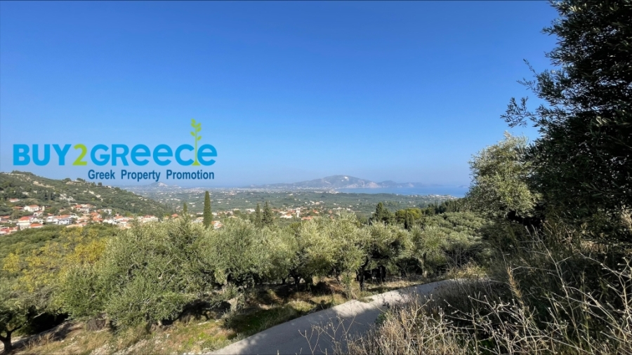 (For Sale) Land Agricultural Land  || Zakynthos (Zante)/Laganas - 4.044 Sq.m, 130.000€ ||| ID :1457632-6