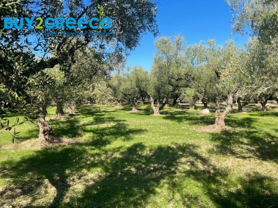 (For Sale) Land Plot || Zakynthos (Zante)/Alykes - 12.000 Sq.m, 137.000€ ||| ID :1457736