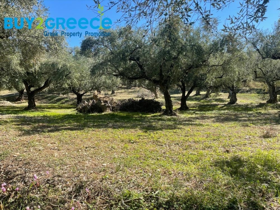 (For Sale) Land Plot || Zakynthos (Zante)/Alykes - 12.000 Sq.m, 137.000€ ||| ID :1457736-2