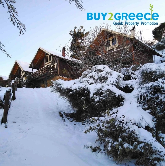 (For Sale) Residential Detached house || Achaia/Kalavryta - 145 Sq.m, 280.000€ ||| ID :1461130-12