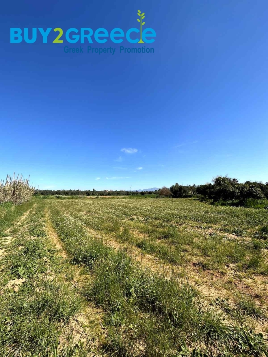 (For Sale) Land Plot || Messinia/Messini - 17.371 Sq.m, 1.200.000€ ||| ID :1462932