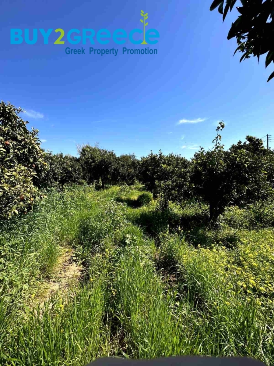 (For Sale) Land Plot || Messinia/Messini - 17.371 Sq.m, 1.200.000€ ||| ID :1462932-2