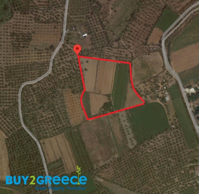 (For Sale) Land Plot || Messinia/Messini - 17.371 Sq.m, 1.200.000€ ||| ID :1462932-3