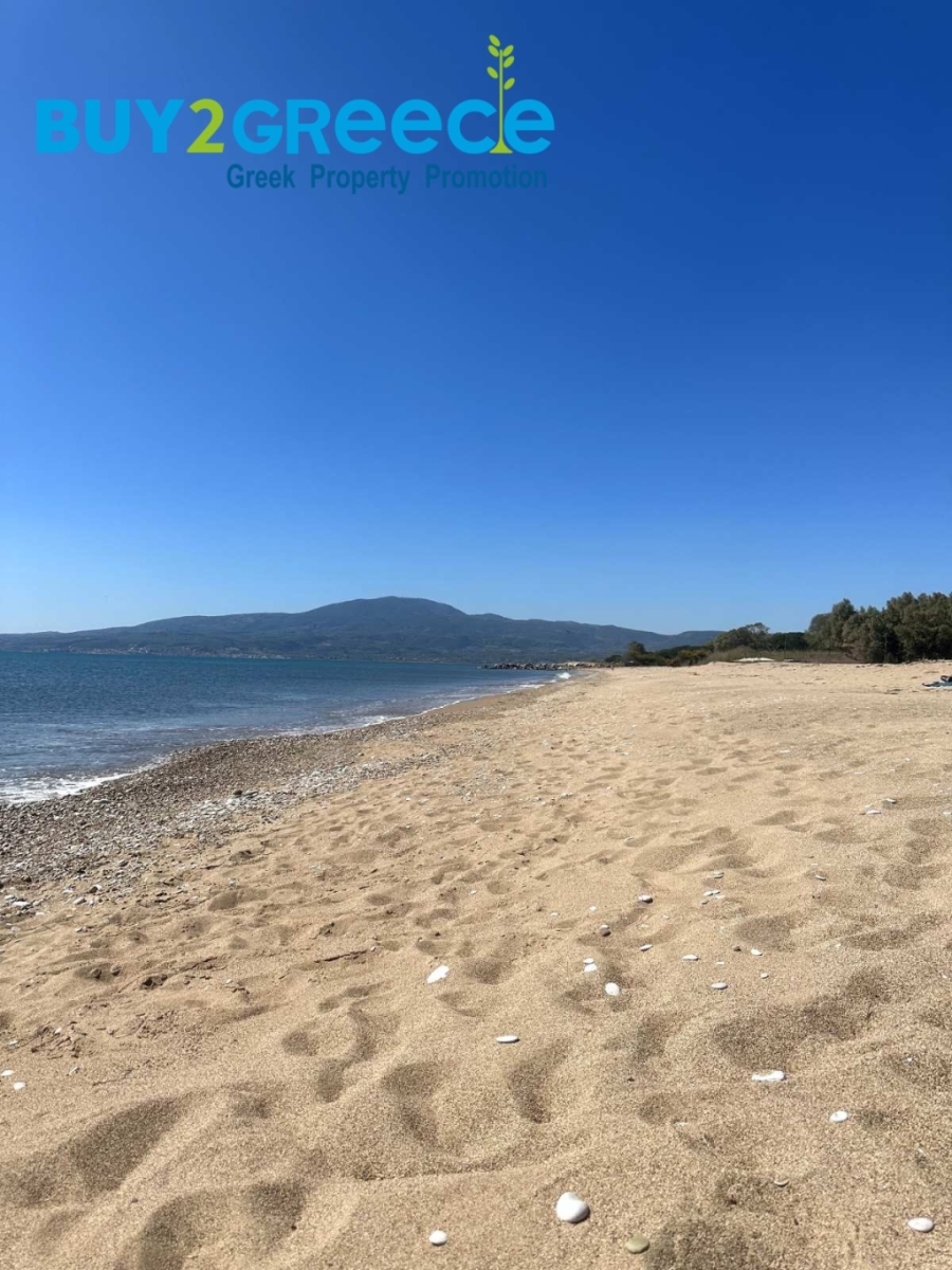 (For Sale) Land Plot || Messinia/Messini - 17.371 Sq.m, 1.200.000€ ||| ID :1462932-8