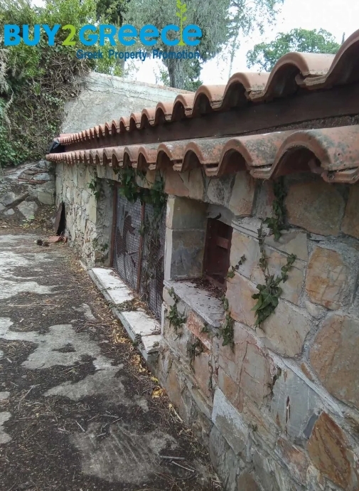 (For Sale) Residential Detached house || Magnisia/Sporades-Skopelos - 99 Sq.m, 2 Bedrooms, 200.000€ ||| ID :1463329-4