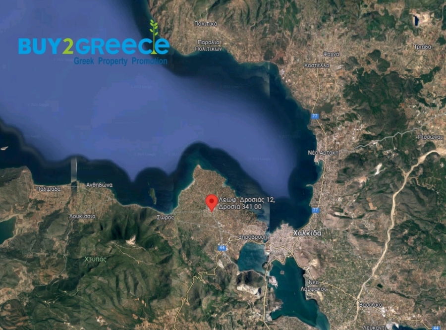 (For Sale) Land Plot wIthin Settlement || Evoia/Anthidona - 741 Sq.m, 180.000€ ||| ID :1472341