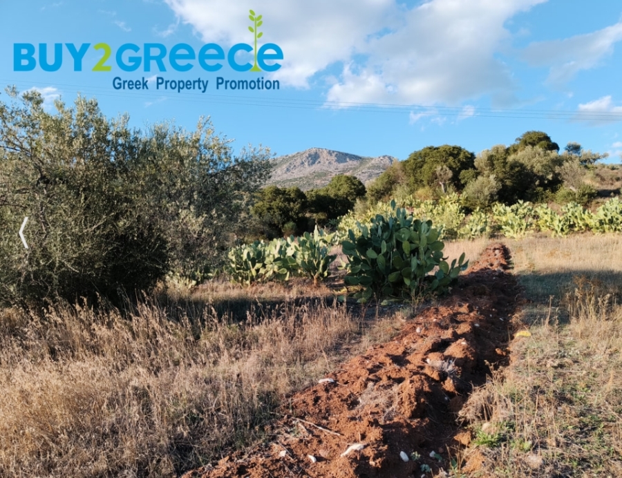 (For Sale) Land Agricultural Land  || Piraias/Troizinia - 20.000 Sq.m, 250.000€ ||| ID :1472809-9