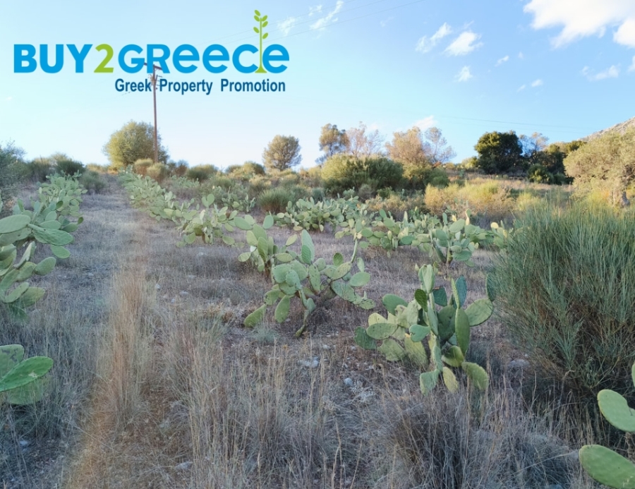 (For Sale) Land Agricultural Land  || Piraias/Troizinia - 20.000 Sq.m, 250.000€ ||| ID :1472809-10