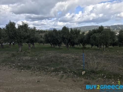 (For Sale) Other Properties Investment property || Messinia/Methoni - 160 Sq.m, 1.500.000€ ||| ID :1473142-7