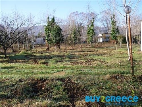 (For Sale) Other Properties Business || Chalkidiki/Stageira - 9.000 Sq.m, 280.000€ ||| ID :1475454-9