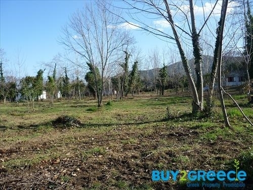 (For Sale) Other Properties Business || Chalkidiki/Stageira - 9.000 Sq.m, 280.000€ ||| ID :1475454-10