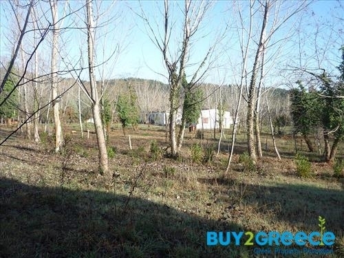 (For Sale) Other Properties Business || Chalkidiki/Stageira - 9.000 Sq.m, 280.000€ ||| ID :1475454-6