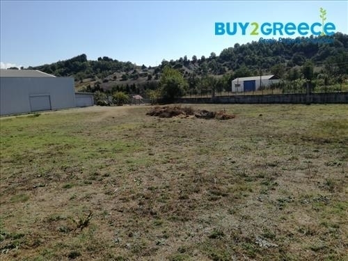 (For Rent) Commercial Building || Grevena/Grevena - 1.480 Sq.m, 5.000€ ||| ID :1478519-5