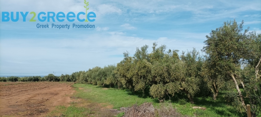 (For Sale) Land Plot || Messinia/Kyparissia - 2.560 Sq.m, 60.000€ ||| ID :1482812