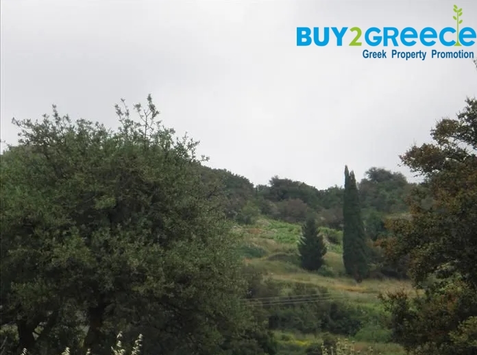 (For Sale) Land Plot || Kefalonia/Sami - 428 Sq.m, 50.000€ ||| ID :1483877-1