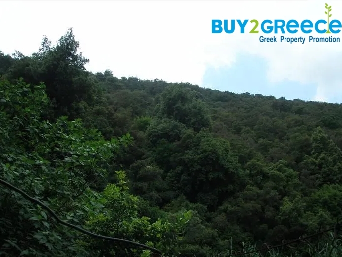 (For Sale) Land Plot || Kefalonia/Sami - 428 Sq.m, 50.000€ ||| ID :1483877-2