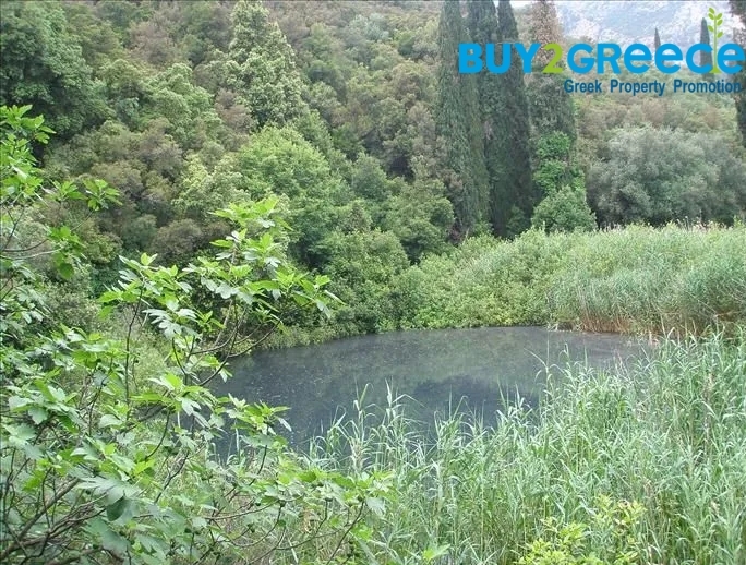 (For Sale) Land Plot || Kefalonia/Sami - 428 Sq.m, 50.000€ ||| ID :1483877-4