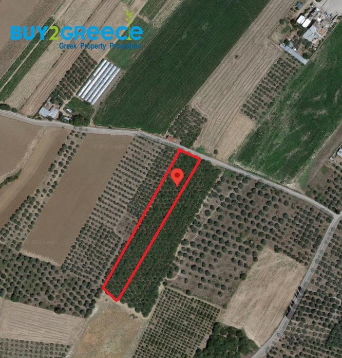 (For Sale) Land Agricultural Land  || Fthiotida/Ypati - 10.000 Sq.m, 30.000€ ||| ID :1484471-2