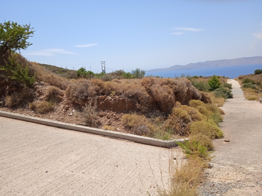 (For Sale) Land Plot || Evoia/Karystos - 500 Sq.m, 35.000€ ||| ID :1490368-4