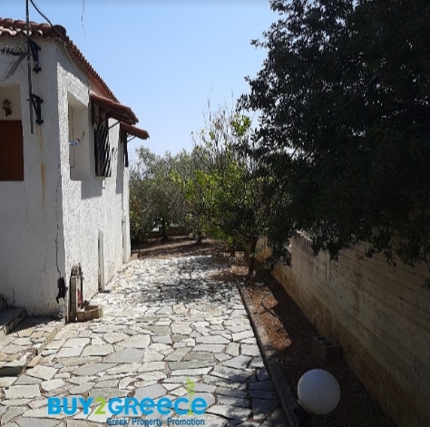 (For Sale) Residential Detached house || Fthiotida/Malesina - 260 Sq.m, 2 Bedrooms, 250.000€ ||| ID :1498000-5