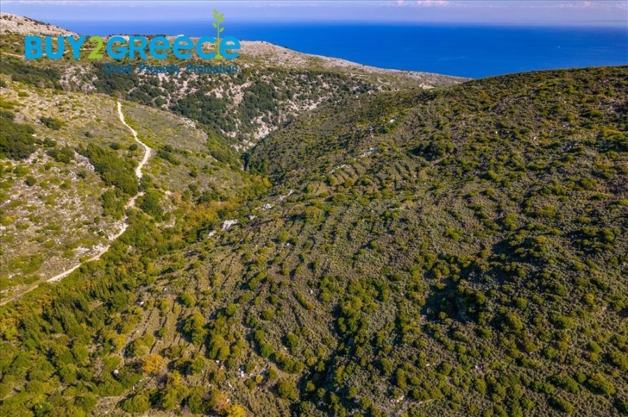 (For Sale) Land Plot out of City plans || Kefalonia/Eleios - 7.565 Sq.m, 20.000€ ||| ID :1501353