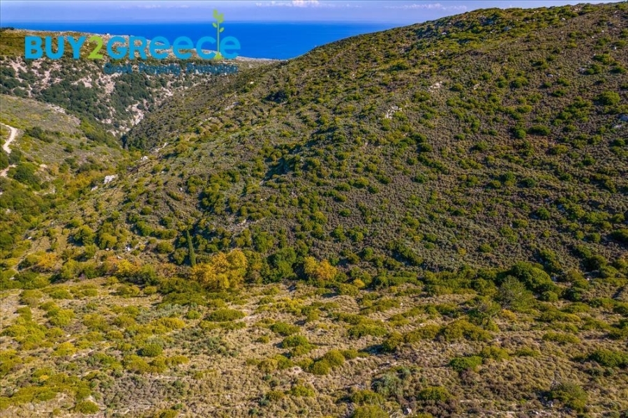 (For Sale) Land Plot out of City plans || Kefalonia/Eleios - 7.565 Sq.m, 20.000€ ||| ID :1501353-2