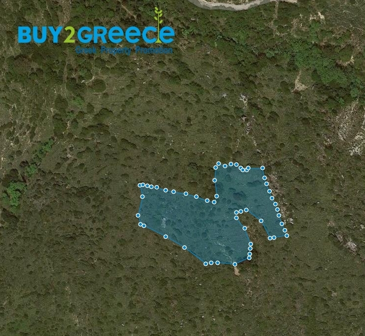 (For Sale) Land Plot out of City plans || Kefalonia/Eleios - 7.565 Sq.m, 20.000€ ||| ID :1501353-5