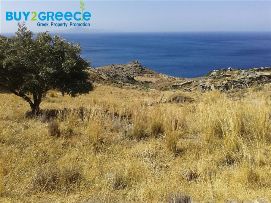 (For Sale) Land Plot || Cyclades/Andros-Korthio - 4.011 Sq.m, 60.000€ ||| ID :1502013