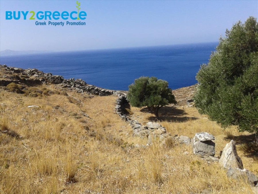 (For Sale) Land Plot || Cyclades/Andros-Korthio - 4.011 Sq.m, 60.000€ ||| ID :1502013-2