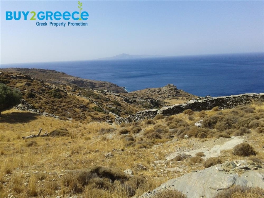 (For Sale) Land Plot || Cyclades/Andros-Korthio - 4.011 Sq.m, 60.000€ ||| ID :1502013-3