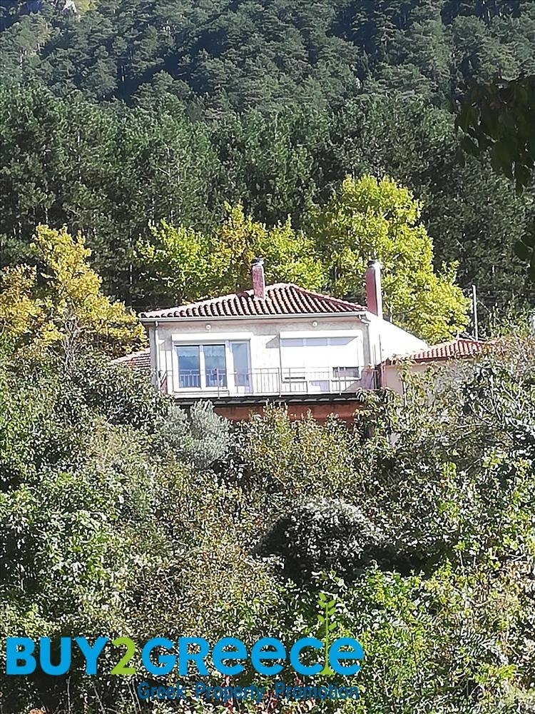 (For Sale) Residential Detached house || Ioannina/ Konitsa - 176 Sq.m, 4 Bedrooms, 120.000€ ||| ID :1503000-15