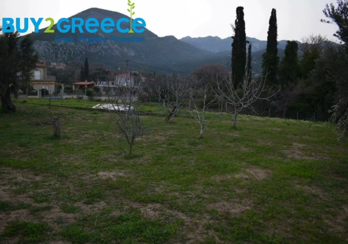 (For Sale) Land || Evoia/Kymi - 1.500 Sq.m, 100.000€ ||| ID :1516802