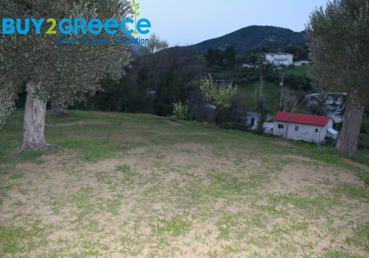 (For Sale) Land || Evoia/Kymi - 1.500 Sq.m, 100.000€ ||| ID :1516802-2