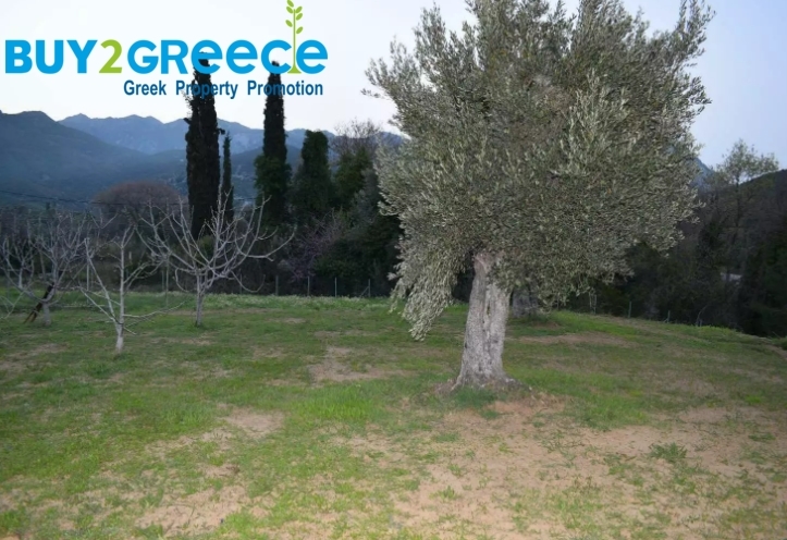 (For Sale) Land || Evoia/Kymi - 1.500 Sq.m, 100.000€ ||| ID :1516802-3