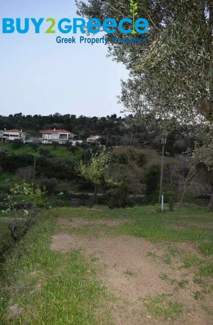(For Sale) Land || Evoia/Kymi - 1.500 Sq.m, 100.000€ ||| ID :1516802-4
