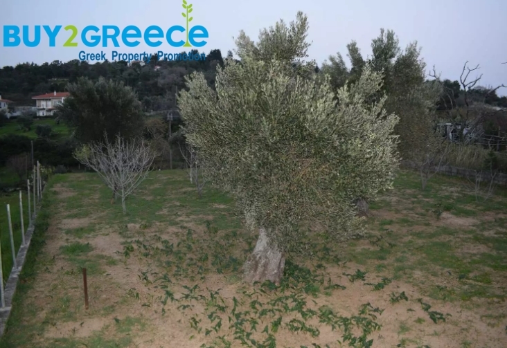 (For Sale) Land || Evoia/Kymi - 1.500 Sq.m, 100.000€ ||| ID :1516802-6