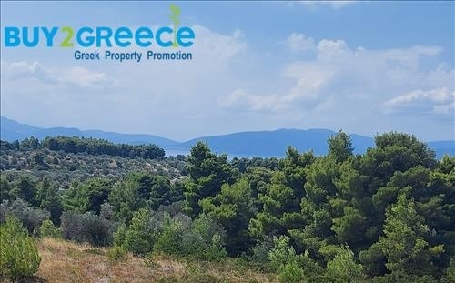 (For Sale) Land Agricultural Land  || Evoia/Messapia - 5.700 Sq.m, 89.000€ ||| ID :1521074-2