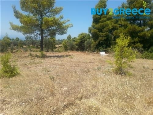 (For Sale) Land Agricultural Land  || Evoia/Messapia - 5.700 Sq.m, 89.000€ ||| ID :1521074-5