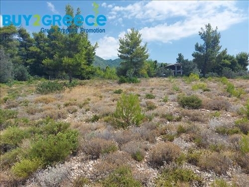 (For Sale) Land Agricultural Land  || Evoia/Messapia - 5.700 Sq.m, 89.000€ ||| ID :1521074-7